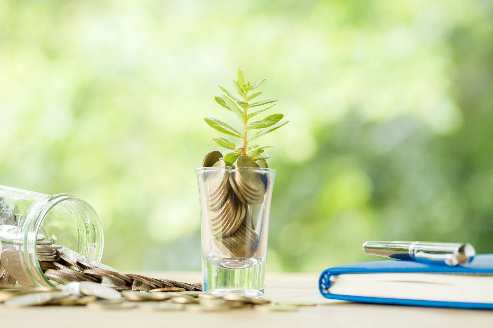 Spring Clean Your Finances by Selling Your Home Fast