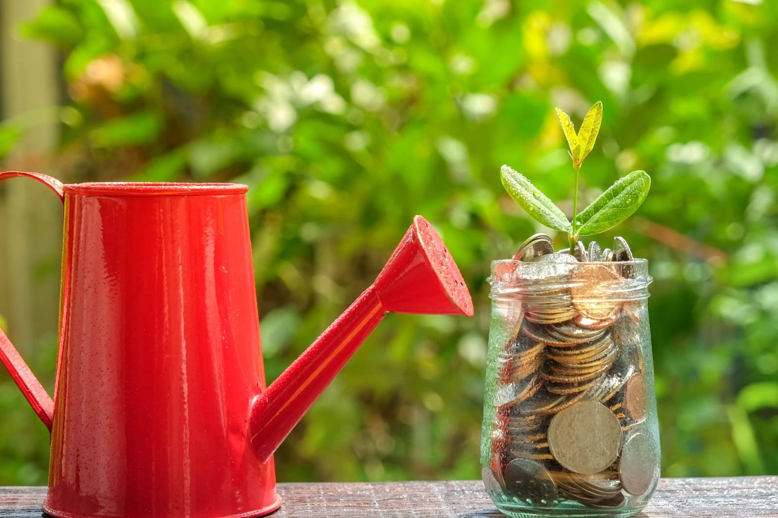 🌱 Moving Forward After Life Changes With Ease